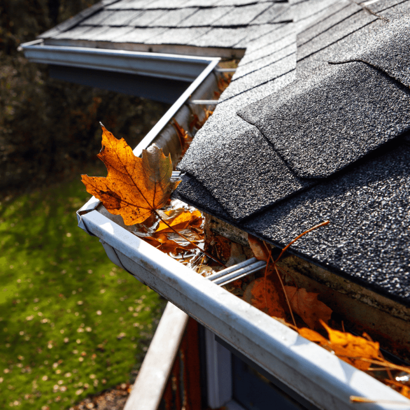 visual image of fall leaves in roof gutter